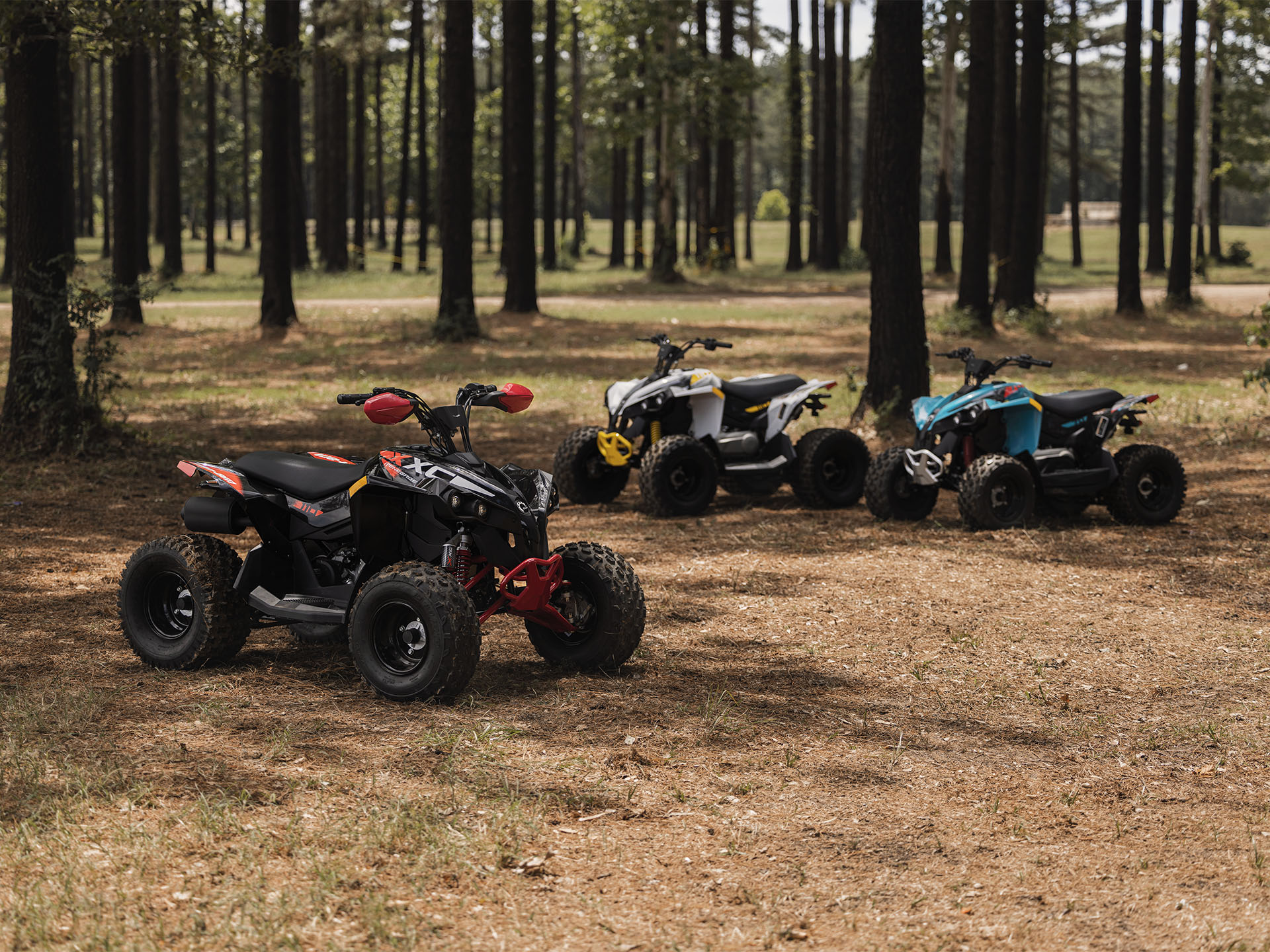 2026 Can-Am Renegade 110 EFI - View 2