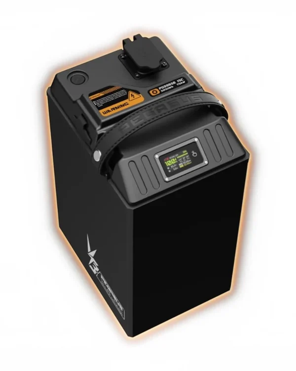 Pegasus 96V 56Ah Battery for Ultra Bee - View 2