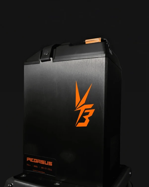 Pegasus 96V 56Ah Battery for Ultra Bee - View 3