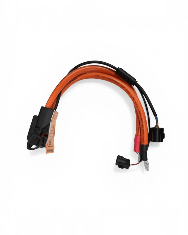 Pegasus 96V 56Ah Battery for Ultra Bee - View 4